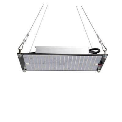 Free Assembly Sumsangs/Osrams LM301B 120W 300W 480W Quantuhm Board 3500K Full Spectrum LED Grwo Light